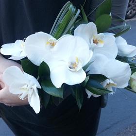 fwthumb20130907_093353 (2).jpg